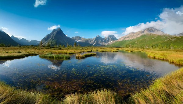 Comment prendre soin de votre équipement de pêche en camping
