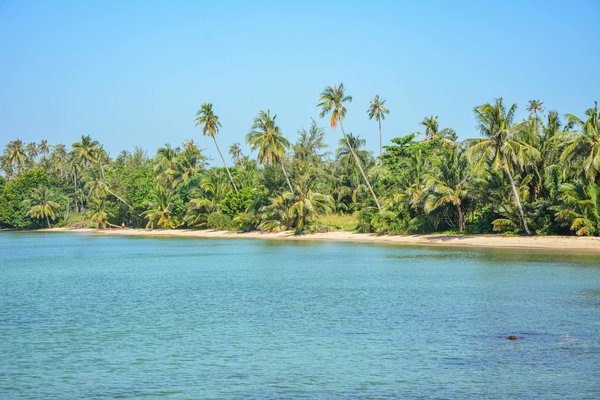 Découvrez Evao, l'agence de voyage incontournable à Lyon 3